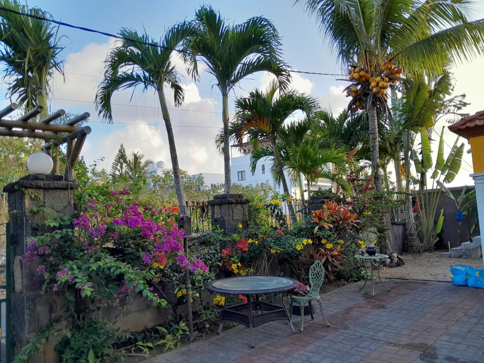 Coco,