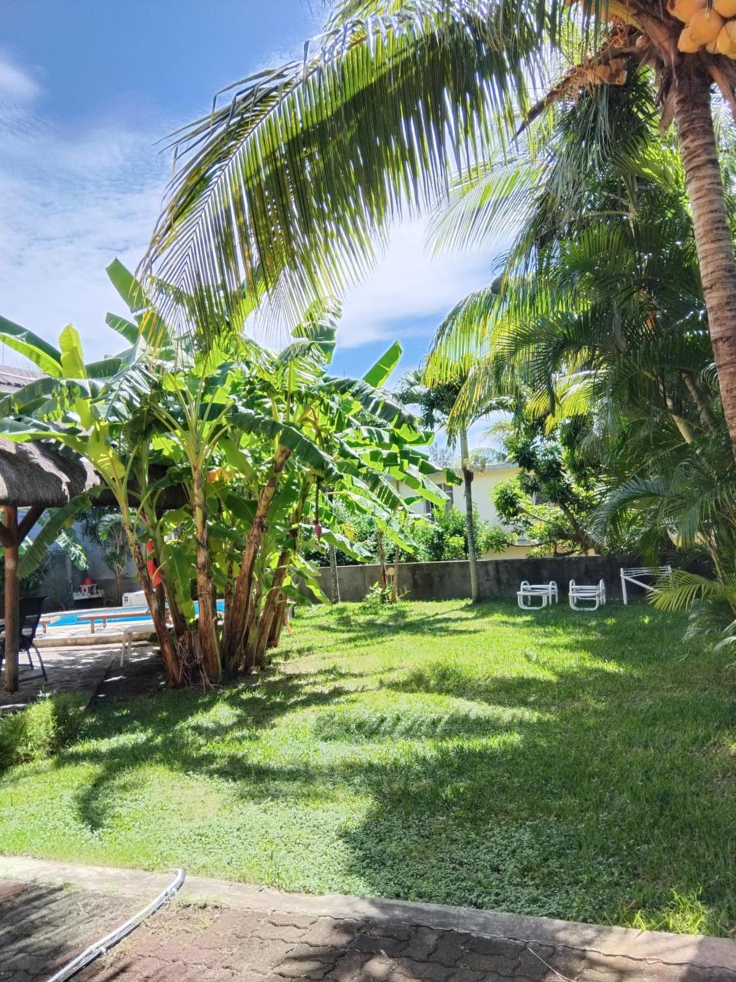 Coco, Apartment